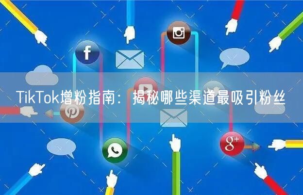 TikTok增粉指南：揭秘哪些渠道最吸引粉丝