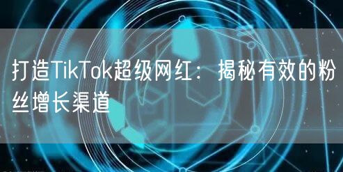 打造TikTok超级网红：揭秘有效的粉丝增长渠道