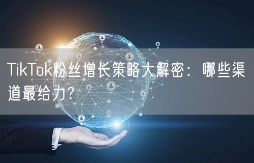 TikTok粉丝增长策略大解密：哪些渠道最给力？
