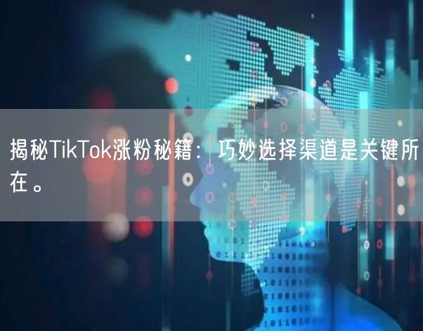 揭秘TikTok涨粉秘籍：巧妙选择渠道是关键所在。
