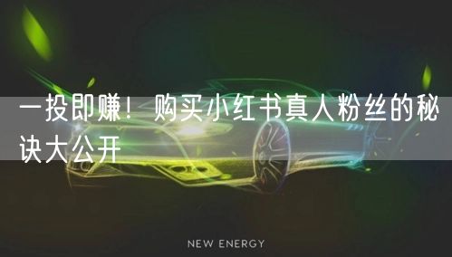 一投即赚！购买小红书真人粉丝的秘诀大公开