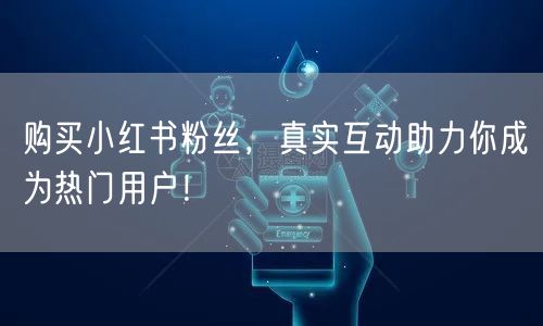 购买小红书粉丝，真实互动助力你成为热门用户！