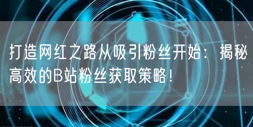 打造网红之路从吸引粉丝开始：揭秘高效的B站粉丝获取策略！