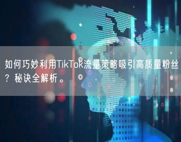 如何巧妙利用TikTok流量策略吸引高质量粉丝？秘诀全解析。