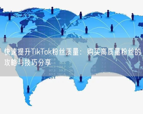 快速提升TikTok粉丝质量：购买高质量粉丝的攻略与技巧分享