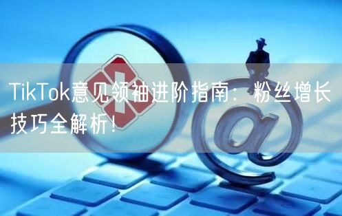 TikTok意见领袖进阶指南：粉丝增长技巧全解析！