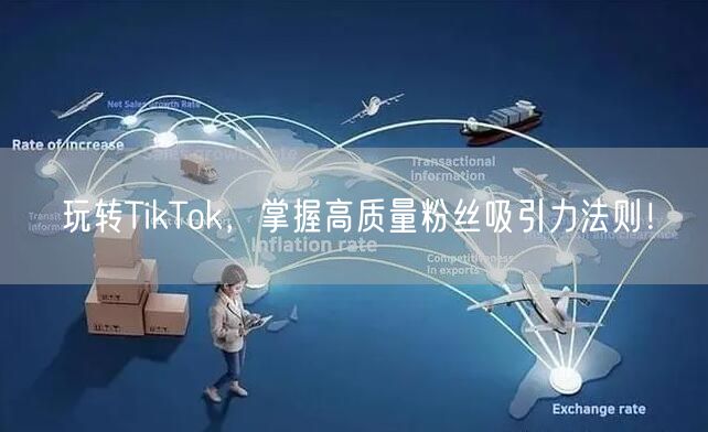 玩转TikTok，掌握高质量粉丝吸引力法则！