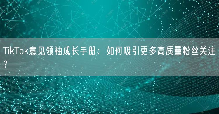 TikTok意见领袖成长手册：如何吸引更多高质量粉丝关注？