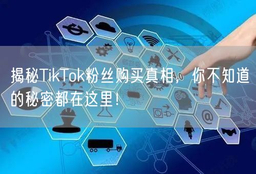 揭秘TikTok粉丝购买真相，你不知道的秘密都在这里！