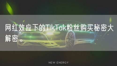 网红效应下的TikTok粉丝购买秘密大解密。