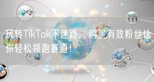 玩转TikTok不迷路，购买有效粉丝让你轻松领跑赛道！
