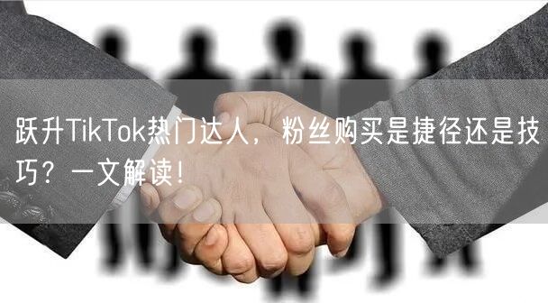 跃升TikTok热门达人，粉丝购买是捷径还是技巧？一文解读！