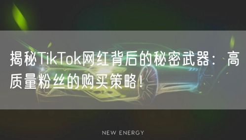 揭秘TikTok网红背后的秘密武器：高质量粉丝的购买策略！