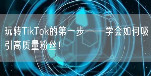 玩转TikTok的第一步——学会如何吸引高质量粉丝！