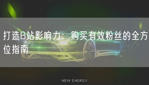 打造B站影响力：购买有效粉丝的全方位指南