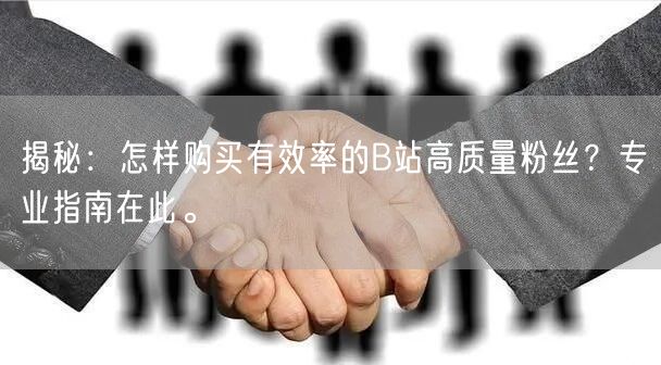 揭秘：怎样购买有效率的B站高质量粉丝？专业指南在此。