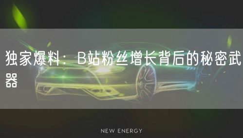 独家爆料：B站粉丝增长背后的秘密武器