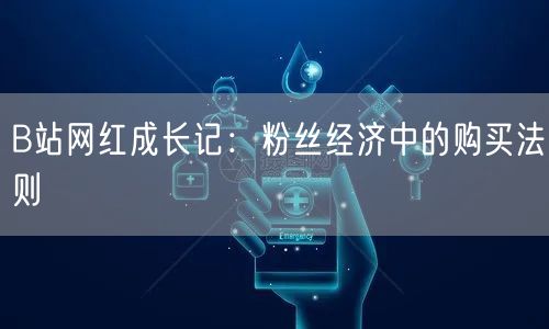 B站网红成长记：粉丝经济中的购买法则