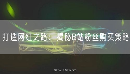 打造网红之路：揭秘B站粉丝购买策略