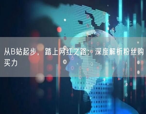 从B站起步，踏上网红之路：深度解析粉丝购买力
