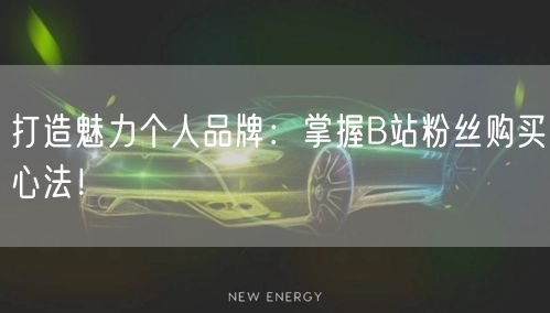 打造魅力个人品牌：掌握B站粉丝购买心法！