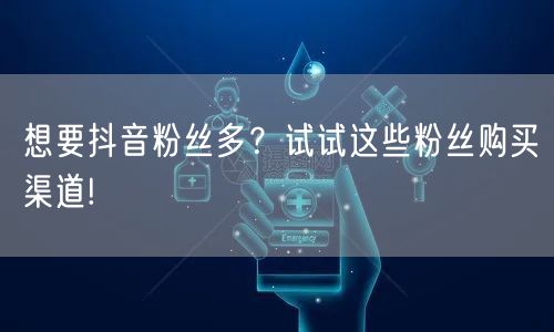 想要抖音粉丝多？试试这些粉丝购买渠道!