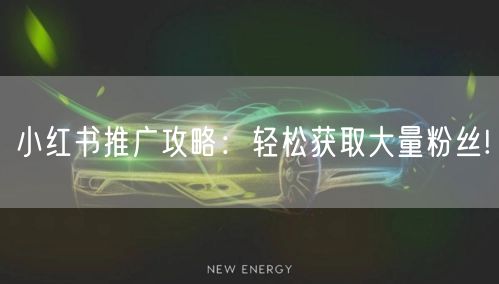 小红书推广攻略：轻松获取大量粉丝!