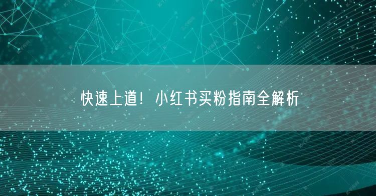 快速上道！小红书买粉指南全解析