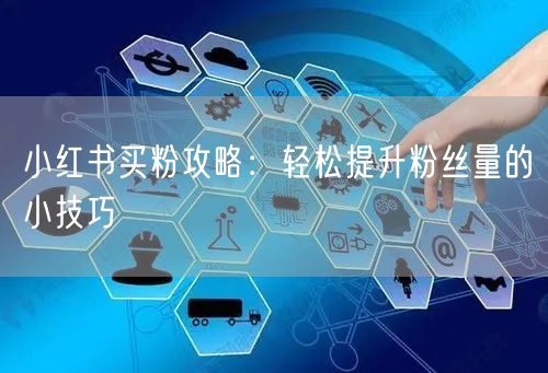 小红书买粉攻略：轻松提升粉丝量的小技巧