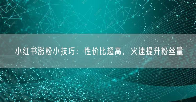 小红书涨粉小技巧：性价比超高，火速提升粉丝量