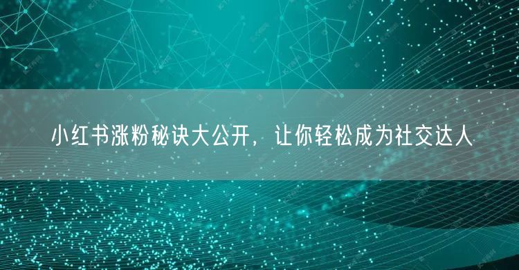 小红书涨粉秘诀大公开，让你轻松成为社交达人