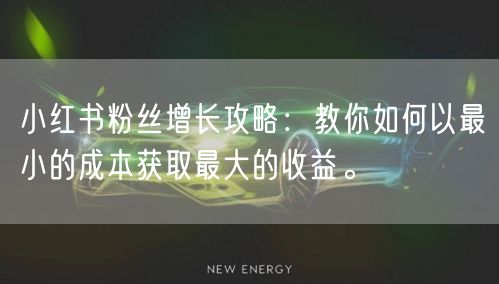 小红书粉丝增长攻略：教你如何以最小的成本获取最大的收益。