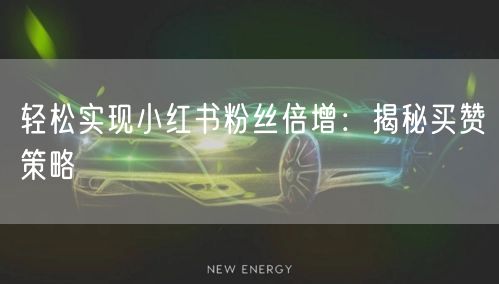 轻松实现小红书粉丝倍增：揭秘买赞策略