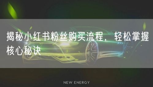揭秘小红书粉丝购买流程，轻松掌握核心秘诀