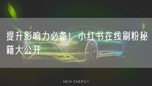 提升影响力必备！小红书在线刷粉秘籍大公开