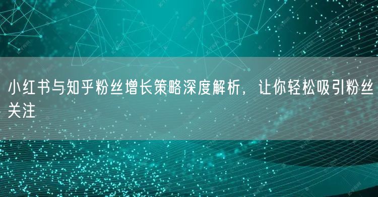 小红书与知乎粉丝增长策略深度解析，让你轻松吸引粉丝关注