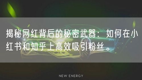 揭秘网红背后的秘密武器：如何在小红书和知乎上高效吸引粉丝。
