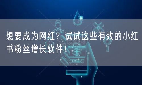 想要成为网红？试试这些有效的小红书粉丝增长软件！