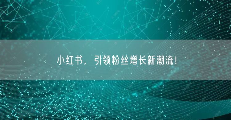 小红书，引领粉丝增长新潮流！