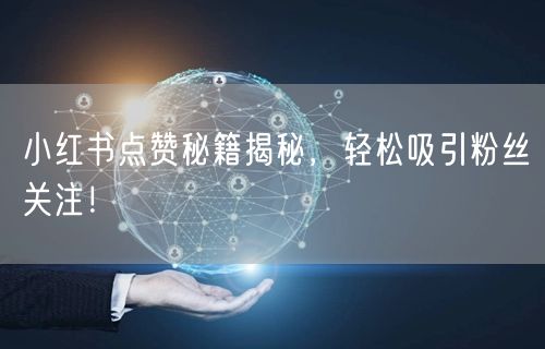 小红书点赞秘籍揭秘，轻松吸引粉丝关注！