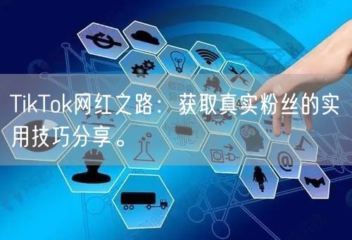 TikTok网红之路：获取真实粉丝的实用技巧分享。